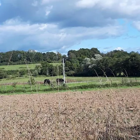 Chalet Pour Famille Et Amis La Chapelle-aux-Chasses